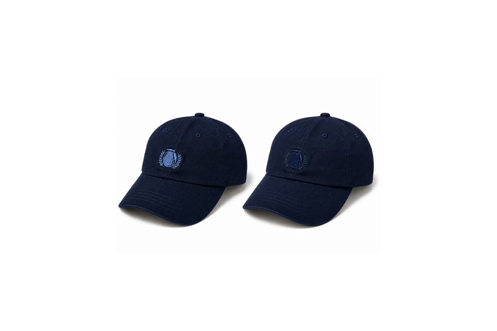 2026 Fall Dad Hat