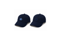 2026 Fall Dad Hat